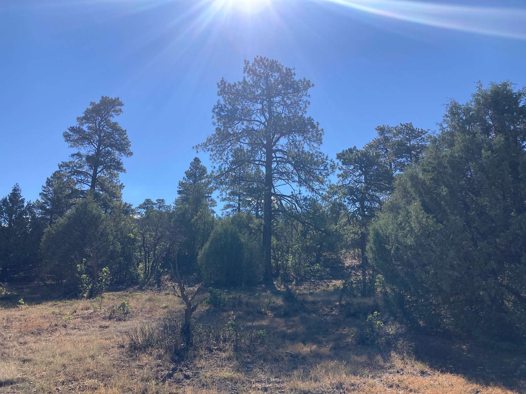 6.74 Acres of Land for Sale in Chama, New Mexico