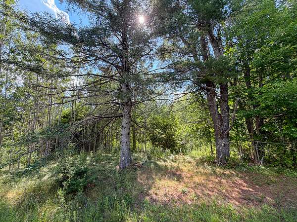 1 Acre of Residential Land for Sale in Bucksport, Maine