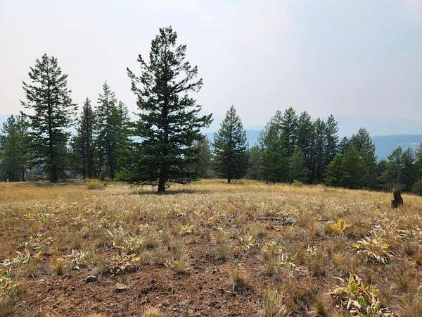 49.8 Acres of Recreational & Residential Land for Sale in Republic, Washington