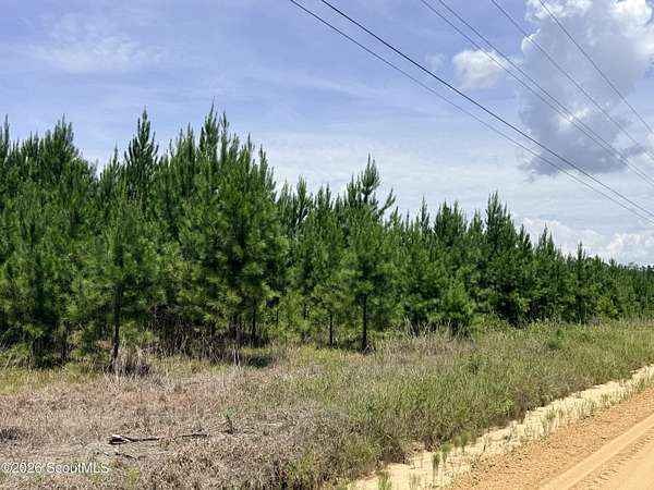 9.9 Acres of Land for Sale in Jesup, Georgia