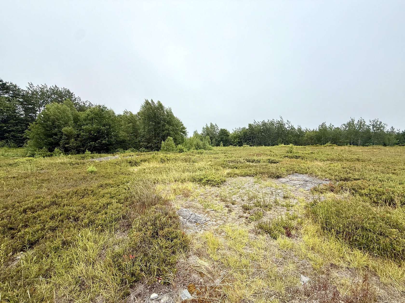 9 Acres of Mixed-Use Land for Sale in Gouldsboro, Maine