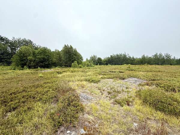 9 Acres of Mixed-Use Land for Sale in Gouldsboro, Maine