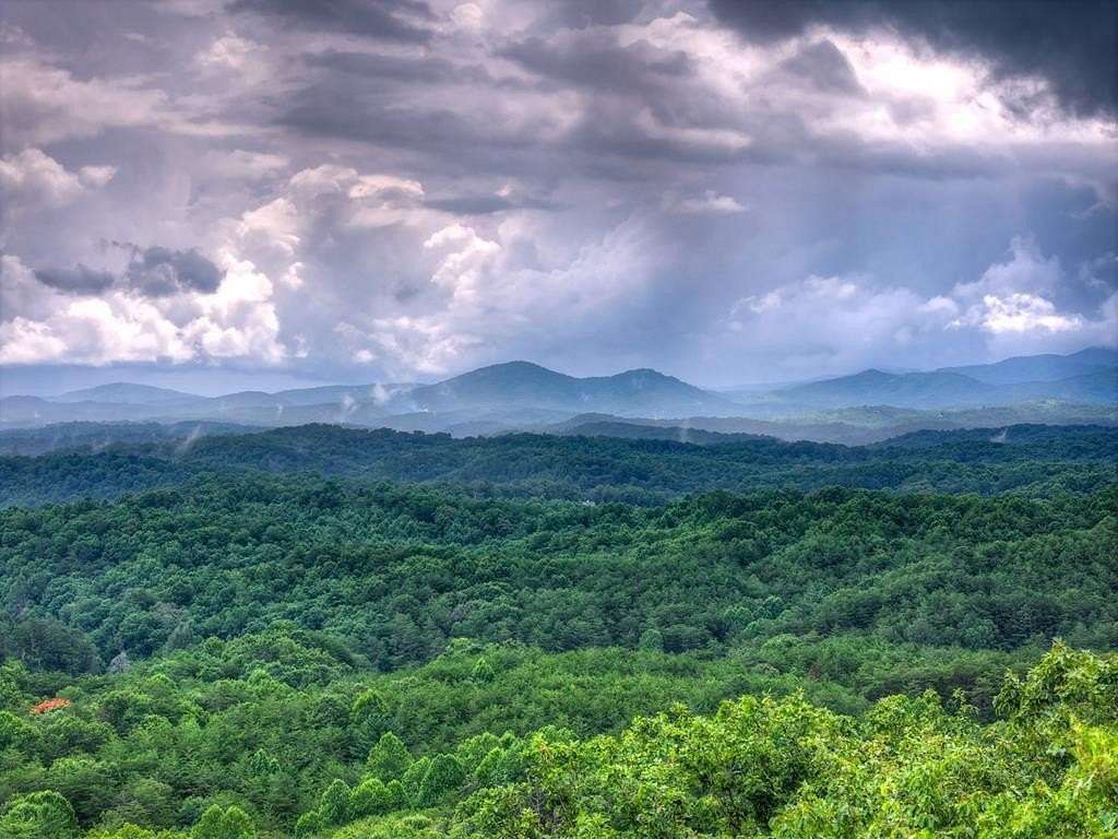 15 Acres of Land for Sale in Turtletown, Tennessee