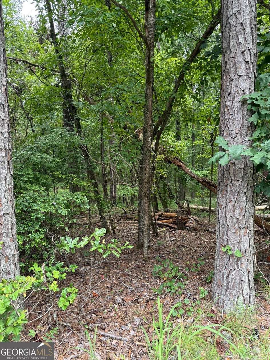 0.52 Acres of Residential Land for Sale in Sparta, Georgia
