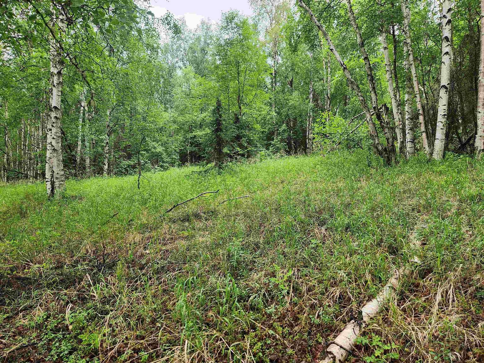 5 Acres of Land for Sale in Fairbanks, Alaska