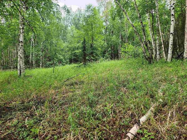 5 Acres of Land for Sale in Fairbanks, Alaska