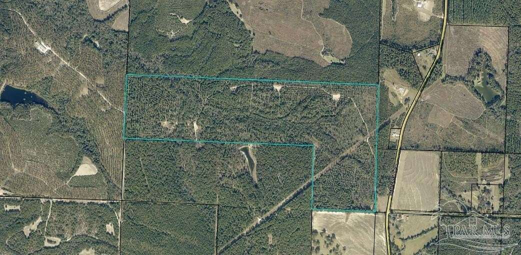 196 Acres of Land for Sale in Laurel Hill, Florida