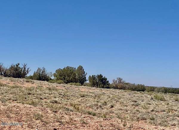 18.5 Acres of Recreational & Residential Land for Sale in Heber, Arizona