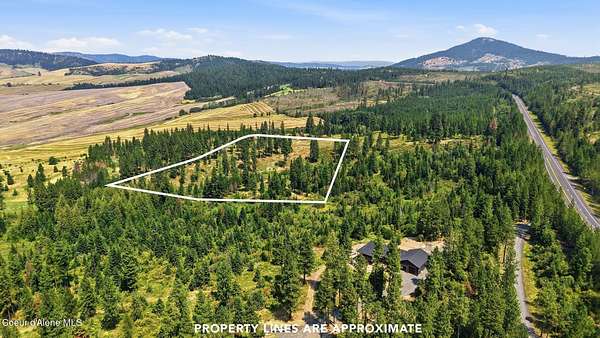 9.5 Acres of Residential Land for Sale in Plummer, Idaho