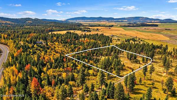 9.5 Acres of Residential Land for Sale in Plummer, Idaho
