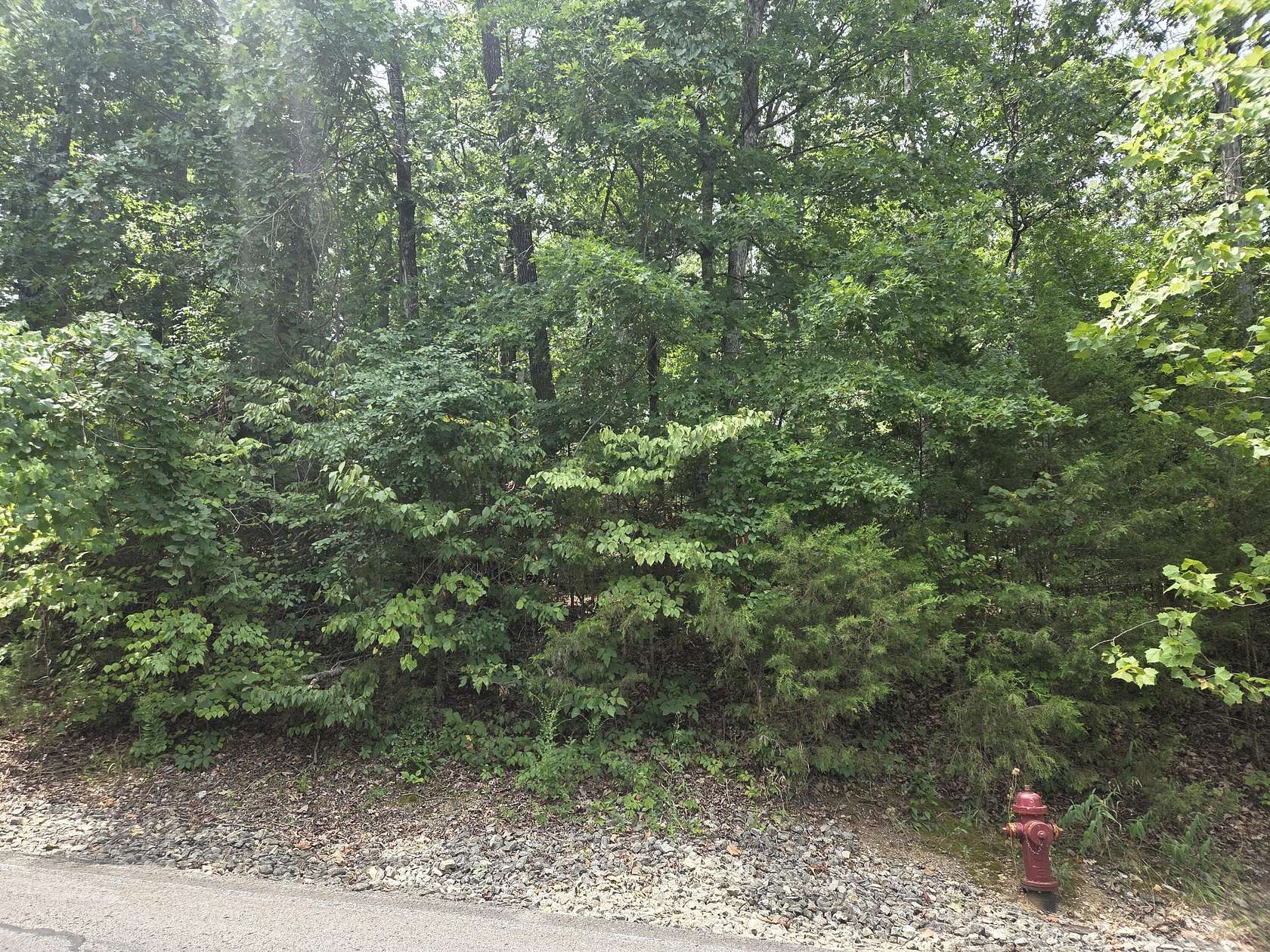 0.35 Acres of Land for Sale in Branson West, Missouri