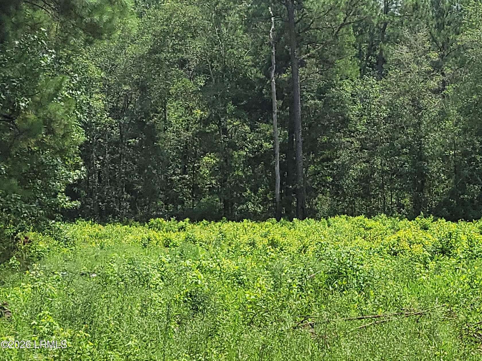 38 Acres of Agricultural Land for Sale in Hardeeville, South Carolina