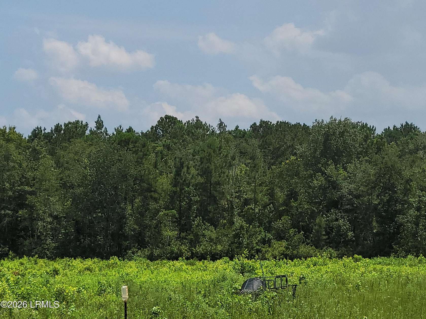 38 Acres of Agricultural Land for Sale in Hardeeville, South Carolina