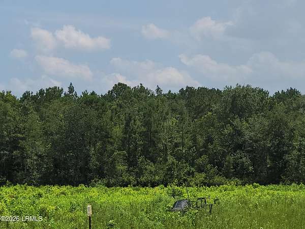 38 Acres of Agricultural Land for Sale in Hardeeville, South Carolina