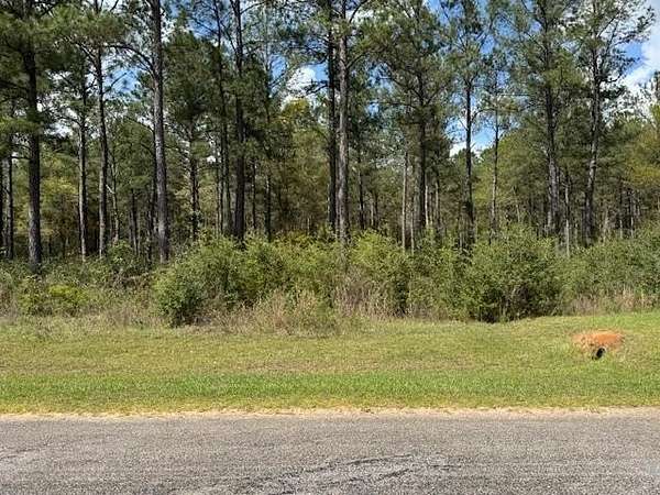 5.9 Acres of Residential Land for Sale in Andalusia, Alabama