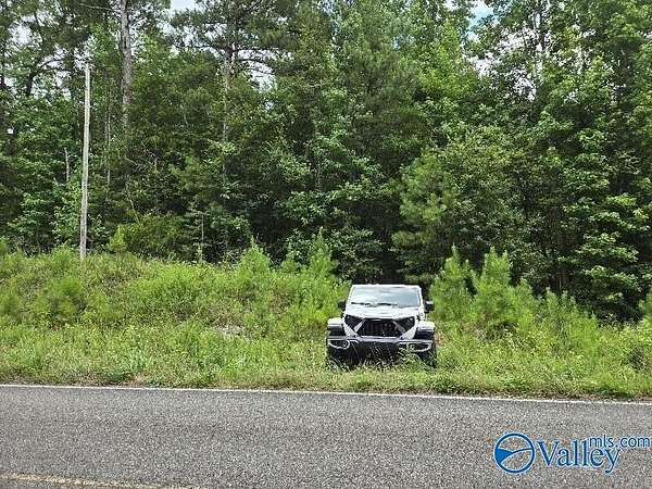 36 Acres of Recreational Land for Sale in Lineville, Alabama