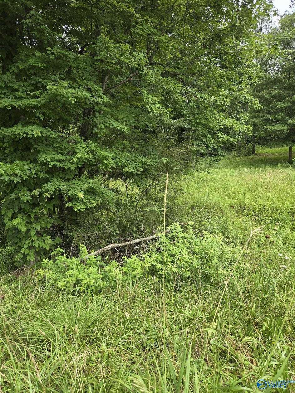 1 Acre of Residential Land for Sale in Lineville, Alabama