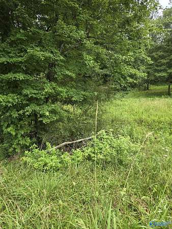 1 Acre of Residential Land for Sale in Lineville, Alabama