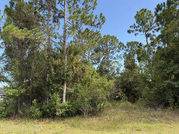 0.23 Acres of Residential Land for Sale in Palm Bay, Florida