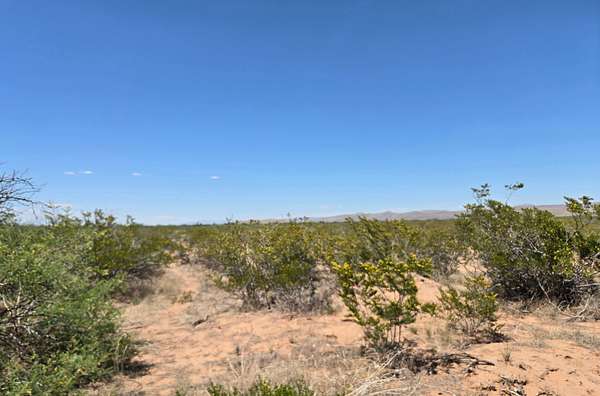 30 Acres of Recreational & Residential Land for Sale in Van Horn, Texas