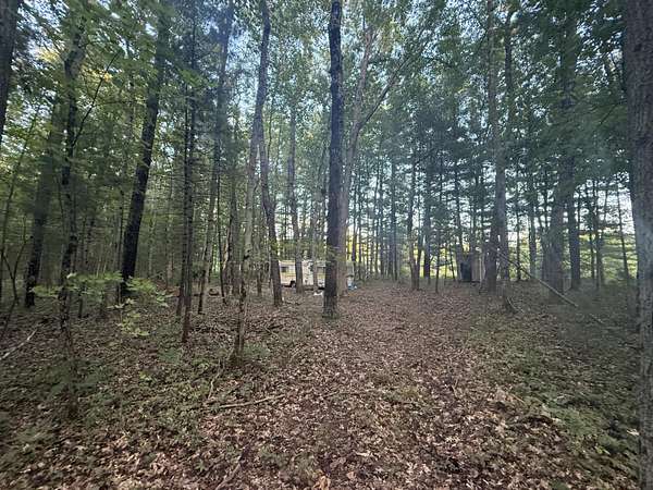 0.99 Acres of Land for Sale in Baldwin, Michigan
