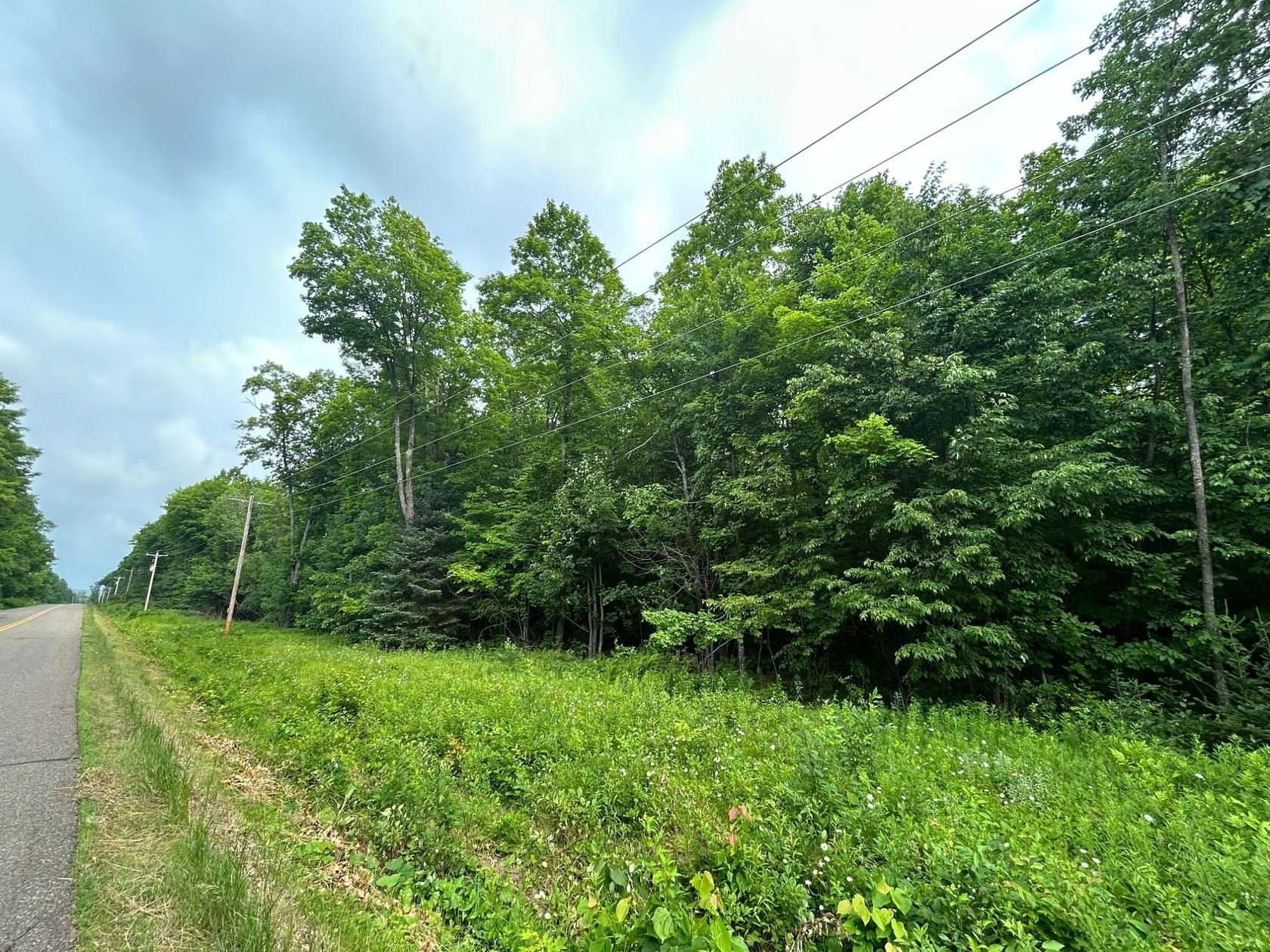 20 Acres of Recreational Land for Sale in Pearson, Wisconsin