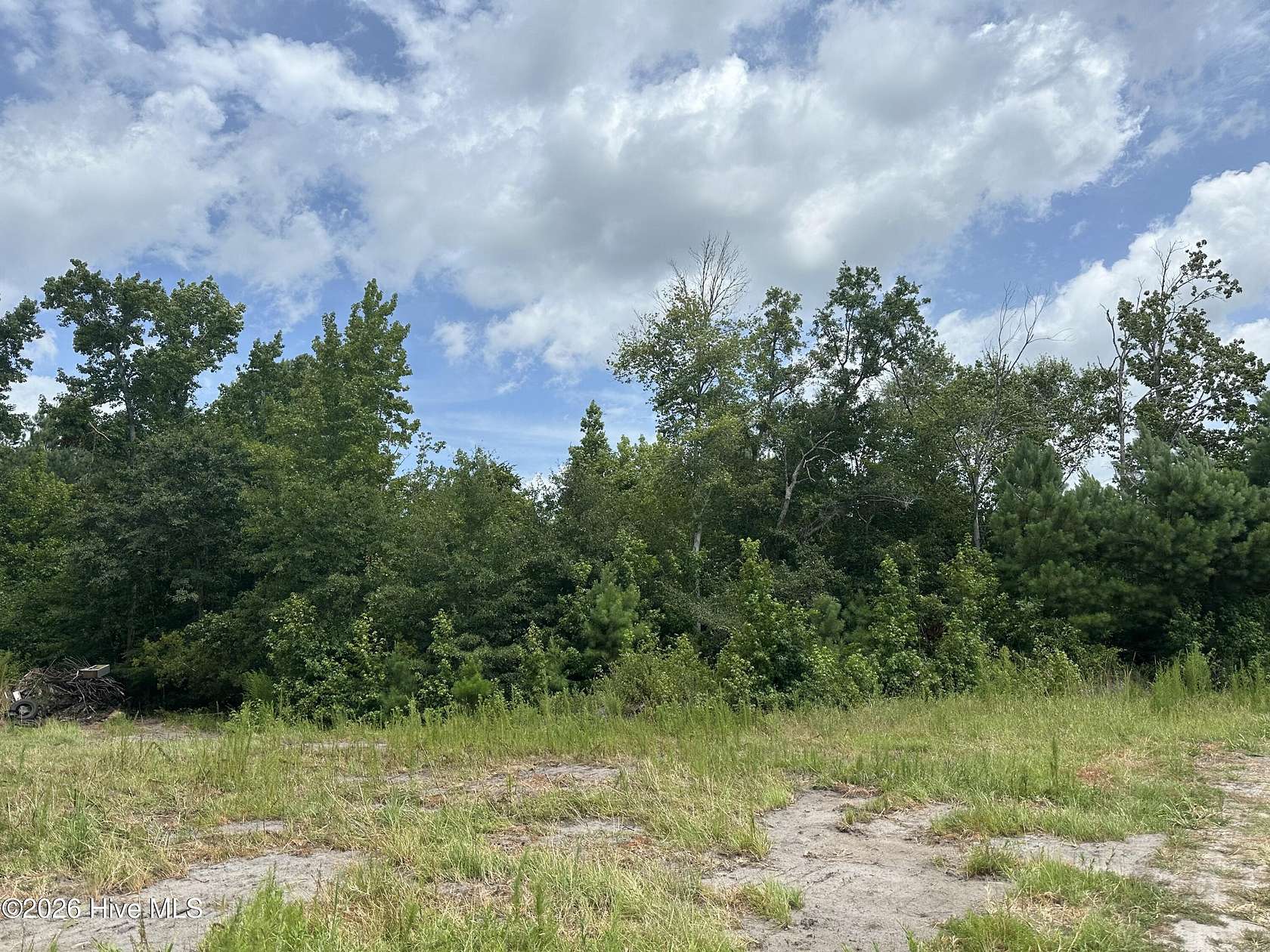 33 Acres of Recreational Land for Sale in Tabor City, North Carolina