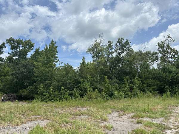33 Acres of Recreational Land for Sale in Tabor City, North Carolina