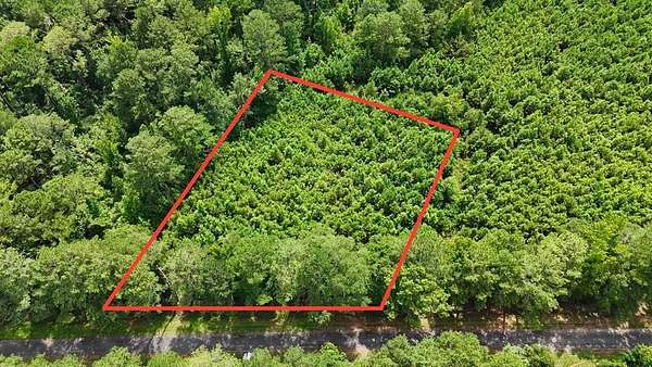 1.32 Acres of Residential Land for Sale in Clio, Alabama