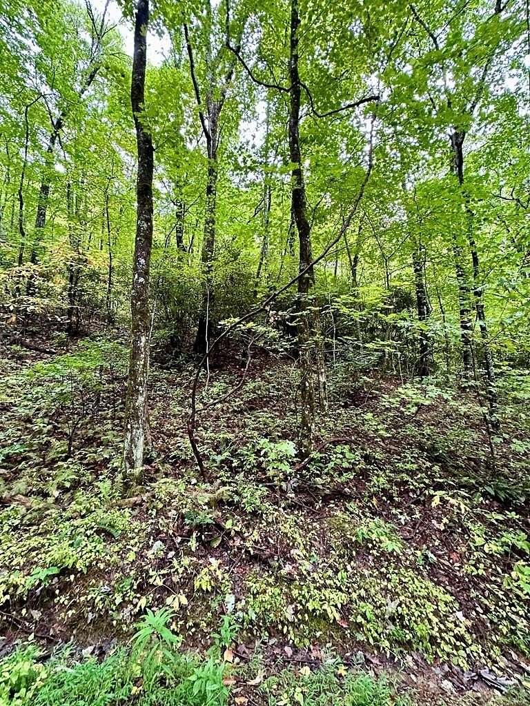 0.79 Acres of Residential Land for Sale in Andrews, North Carolina