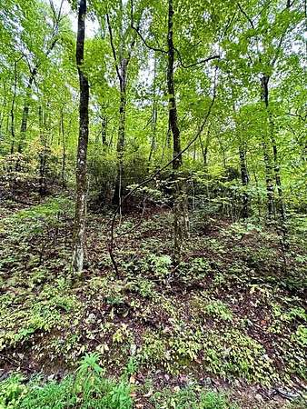 0.79 Acres of Residential Land for Sale in Andrews, North Carolina