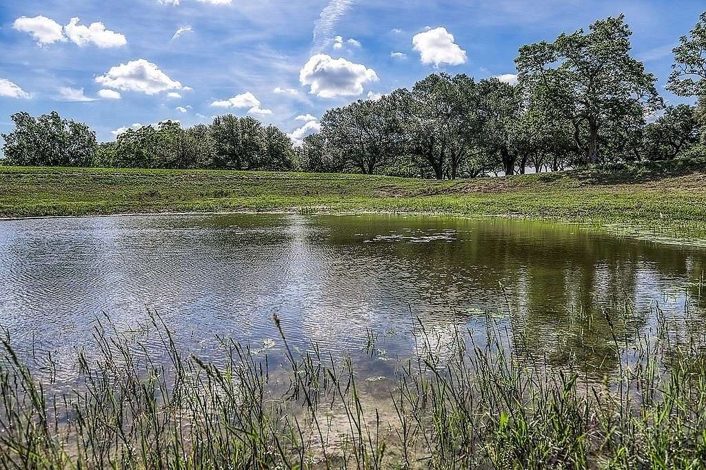 11.5 Acres of Land for Sale in Brenham, Texas