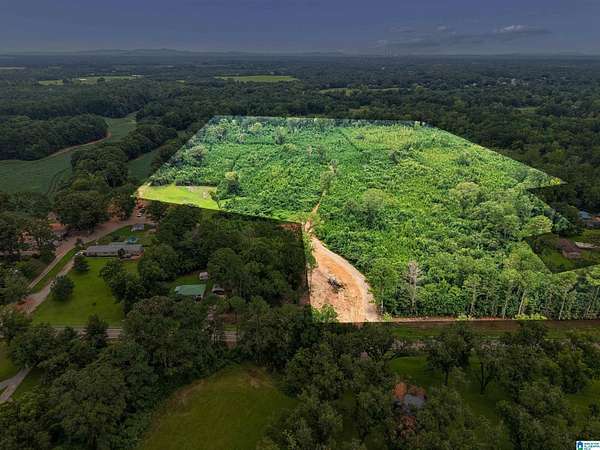52 Acres of Recreational & Residential Land for Sale in Vincent, Alabama