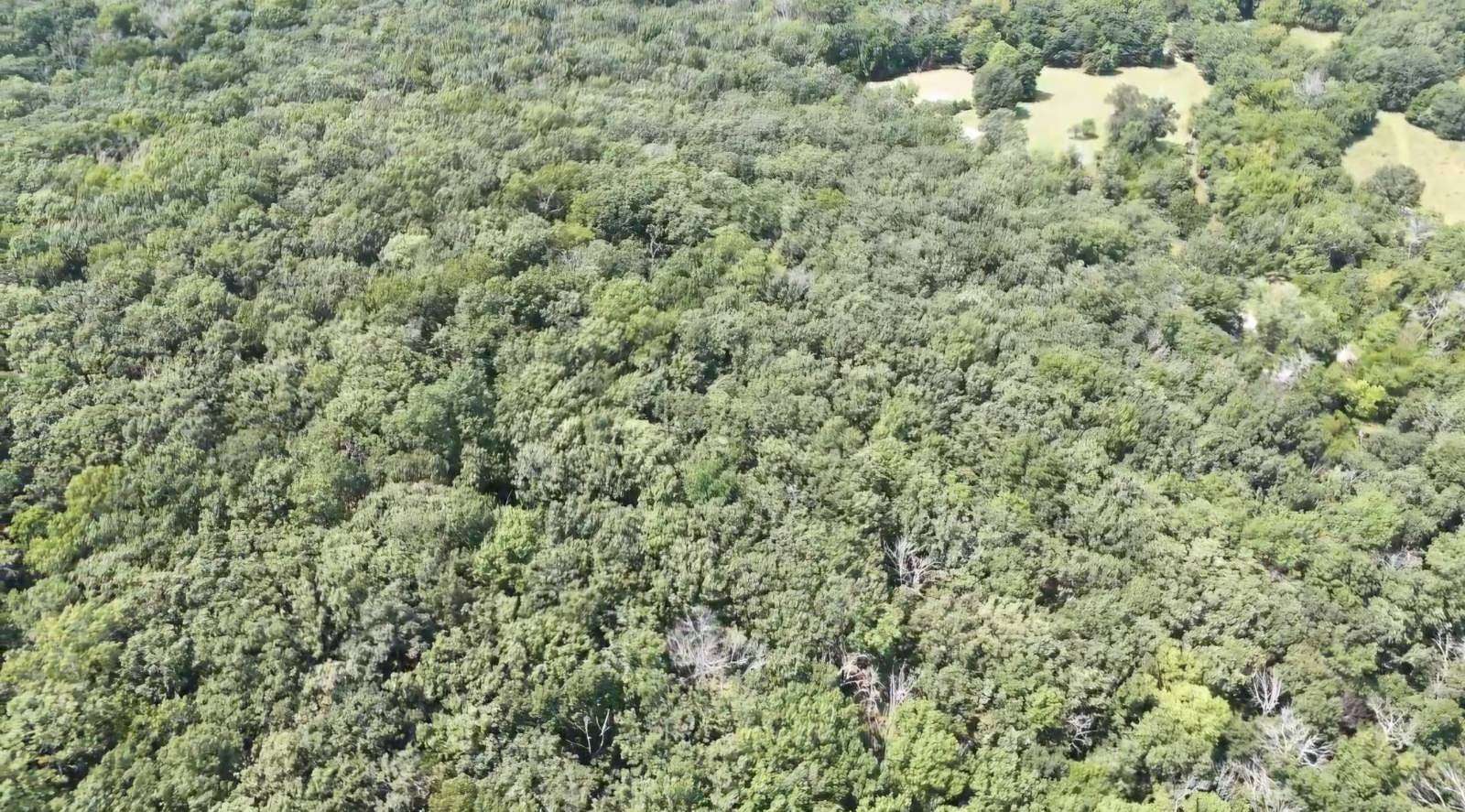 46.8 Acres of Recreational & Residential Land for Sale in Dunnegan, Missouri