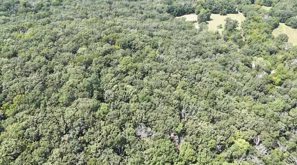 46.8 Acres of Recreational & Residential Land for Sale in Dunnegan, Missouri
