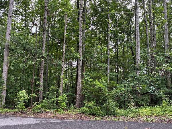 5 Acres of Residential Land for Sale in Nashville, Tennessee