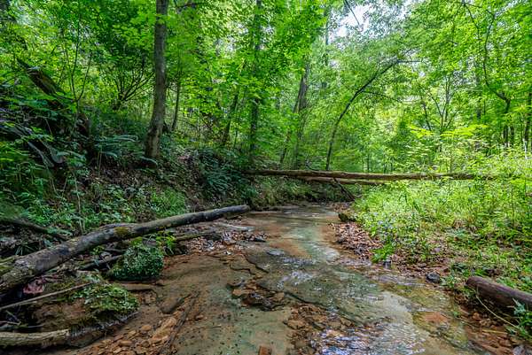5.1 Acres of Residential Land for Sale in Springfield, Tennessee
