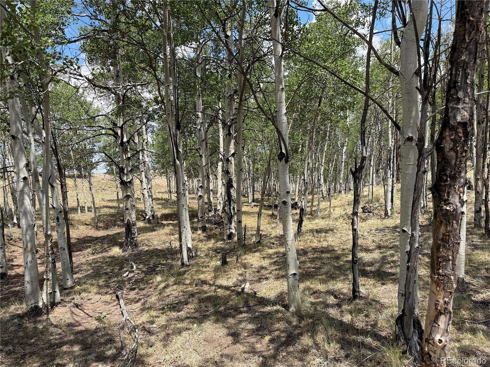 Residential Land for Sale in Hartsel, Colorado