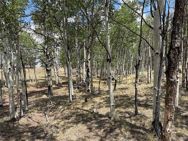 Residential Land for Sale in Hartsel, Colorado