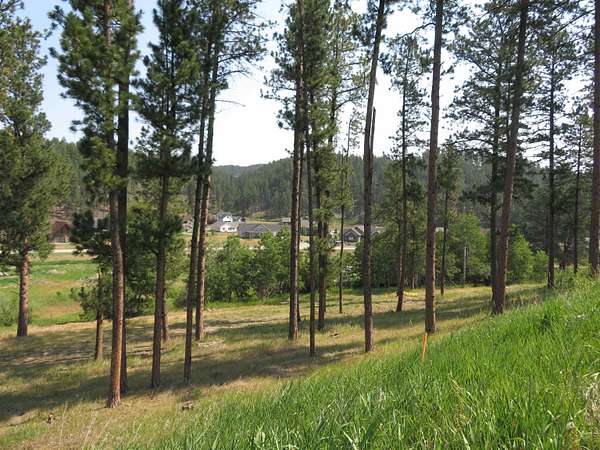 0.4 Acres of Residential Land for Sale in Hill City, South Dakota