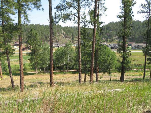 0.35 Acres of Residential Land for Sale in Hill City, South Dakota