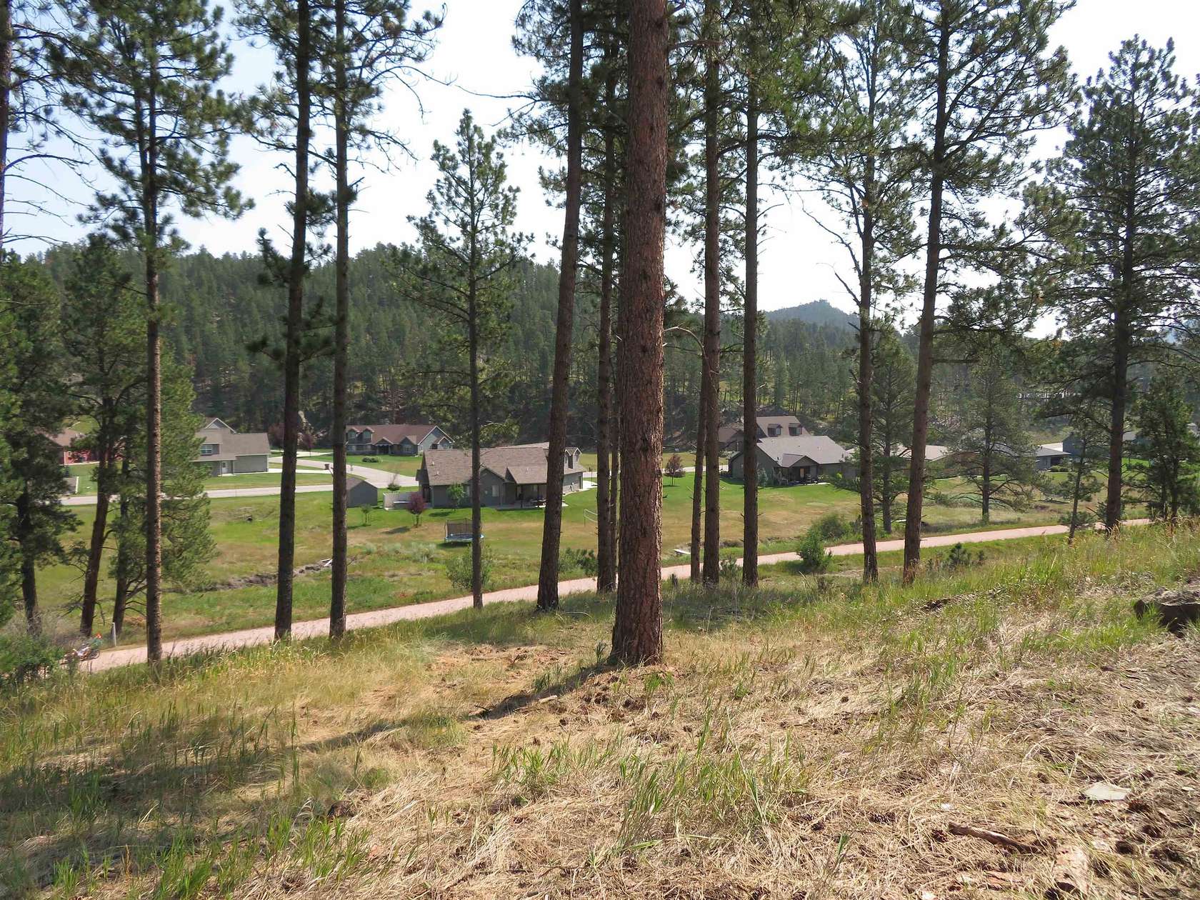 0.42 Acres of Residential Land for Sale in Hill City, South Dakota