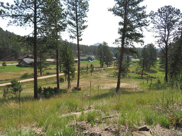 0.58 Acres of Residential Land for Sale in Hill City, South Dakota