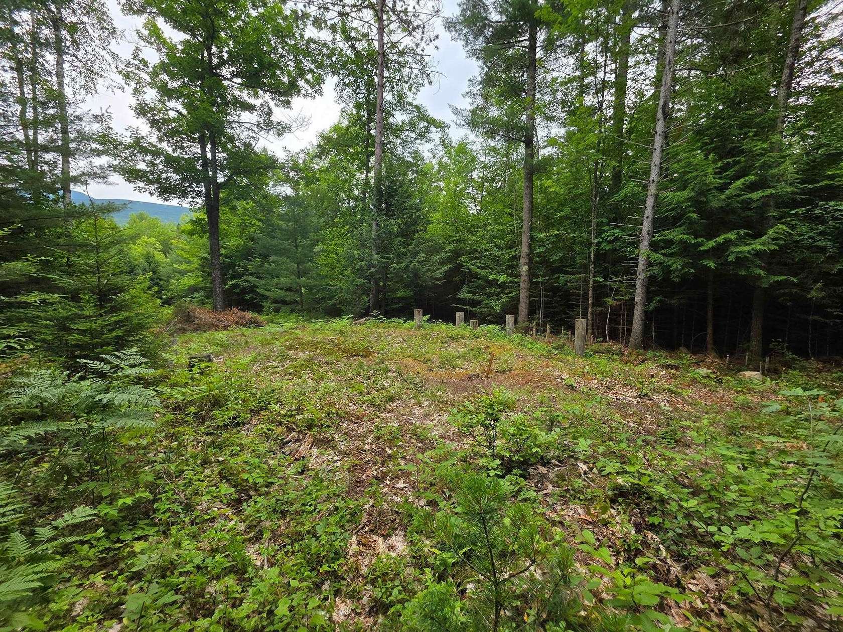8.85 Acres of Residential Land for Sale in Warren, New Hampshire