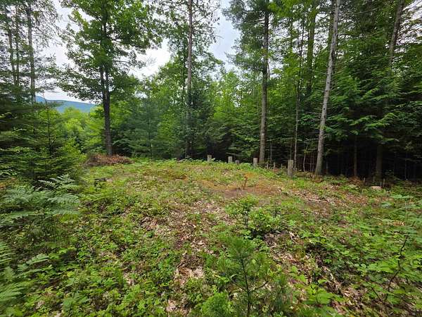 8.85 Acres of Residential Land for Sale in Warren, New Hampshire