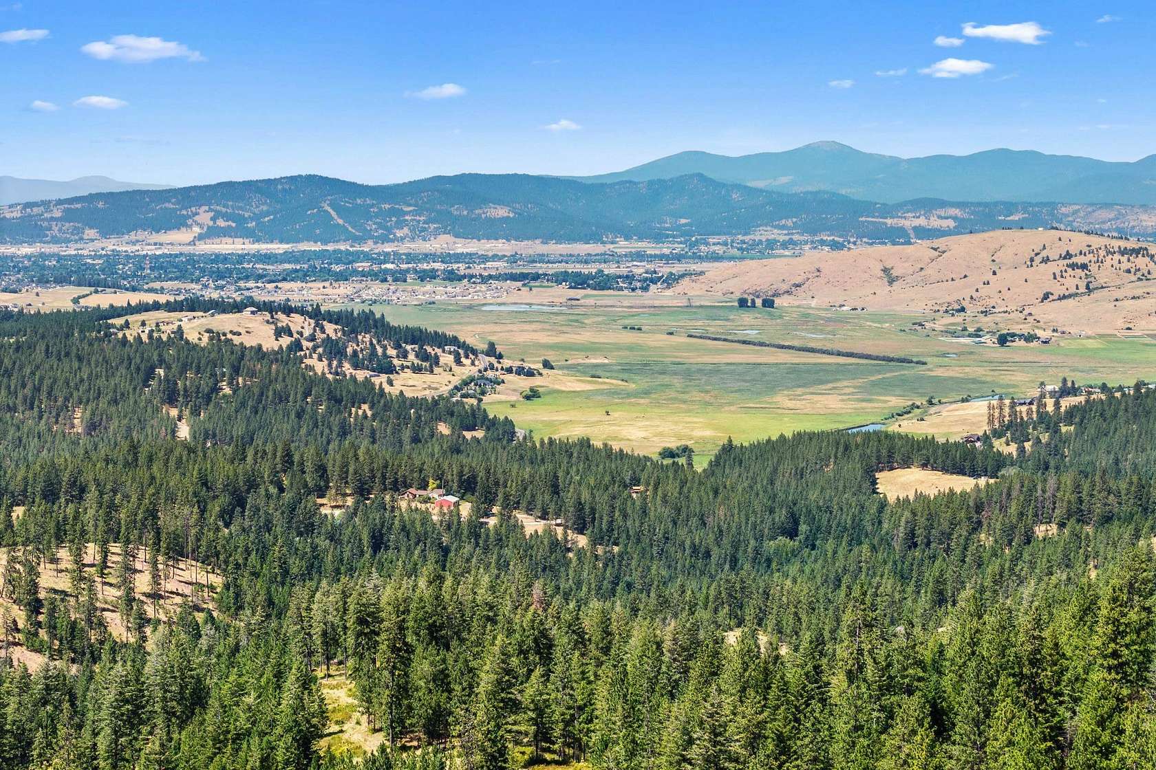 40.3 Acres of Recreational & Residential Land for Sale in Mica, Washington