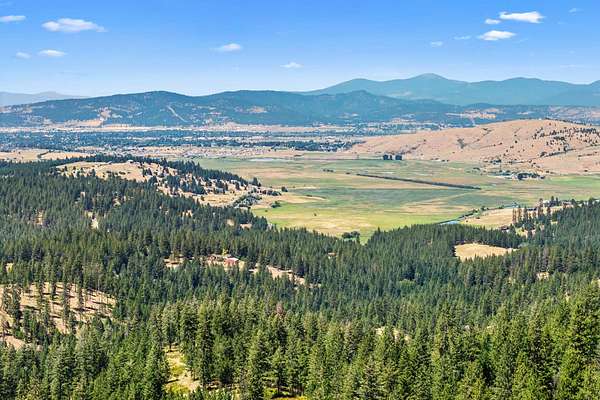 40.3 Acres of Recreational & Residential Land for Sale in Mica, Washington