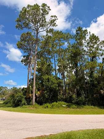 0.3 Acres of Residential Land for Sale in Palm Coast, Florida