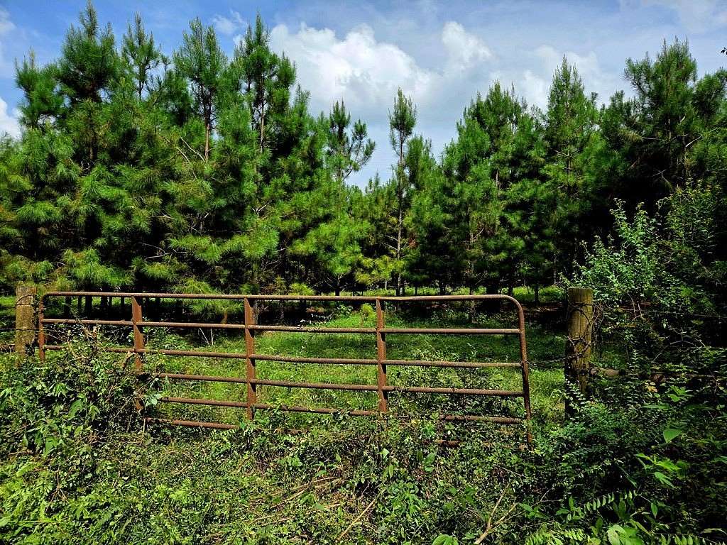 6.7 Acres of Land for Sale in Timpson, Texas
