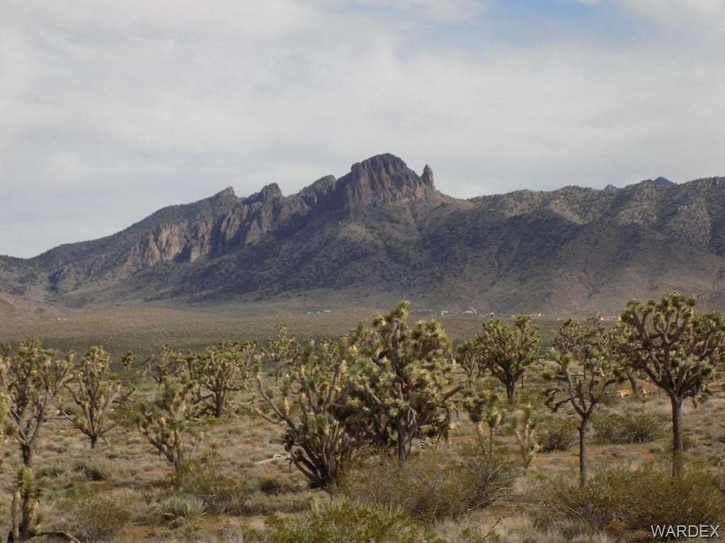 1 Acre of Residential Land for Sale in Dolan Springs, Arizona